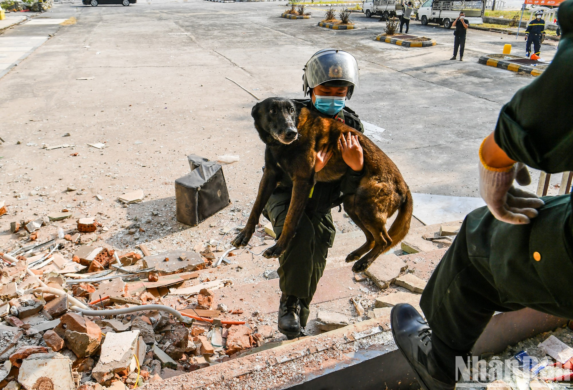 Служебную собаку заносят внутрь здания. Служебную собаку заносят внутрь здания.