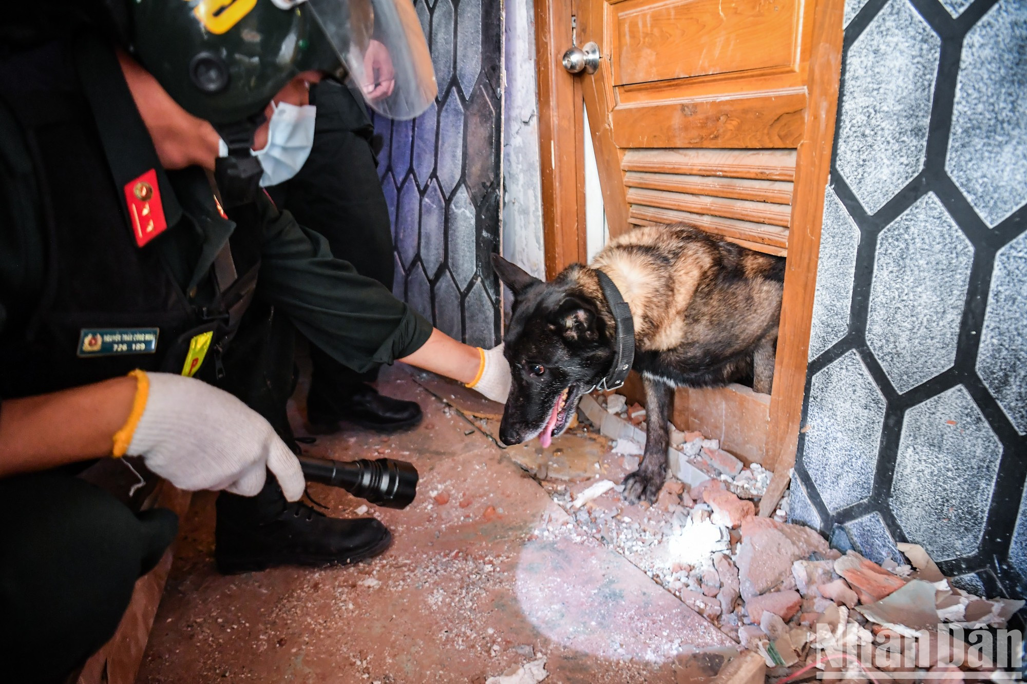 Благодаря собаке вьетнамские силы могут точно определить местонахождение застрявшего человека. Благодаря собаке вьетнамские силы могут точно определить местонахождение застрявшего человека.