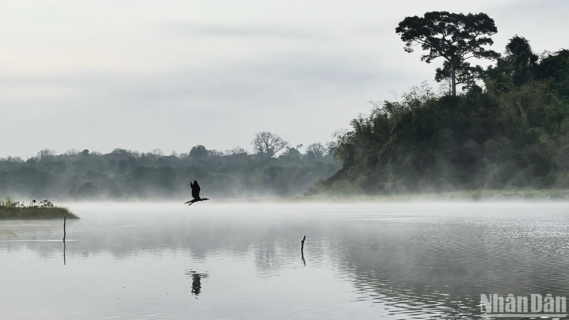 Баушау ранним утром – это также идеальная гармония множества видов птиц и животных, обитающих в лесу и на небольших островах посреди озера.