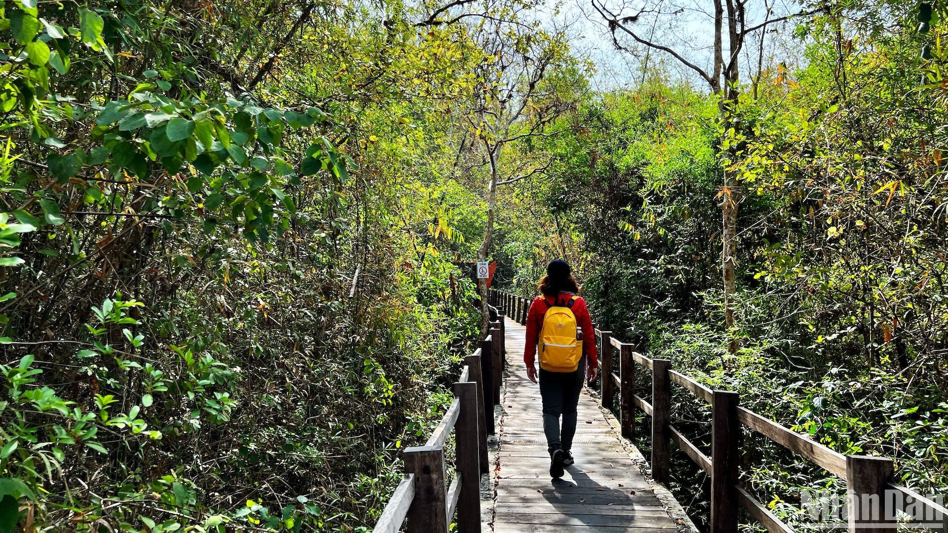 До Баушау можно добраться в любое время дня, он находится примерно в 14 км от входа в национальный парк Каттиен, в том числе 9 км на велосипеде или машине и 5 км пешком через лес.