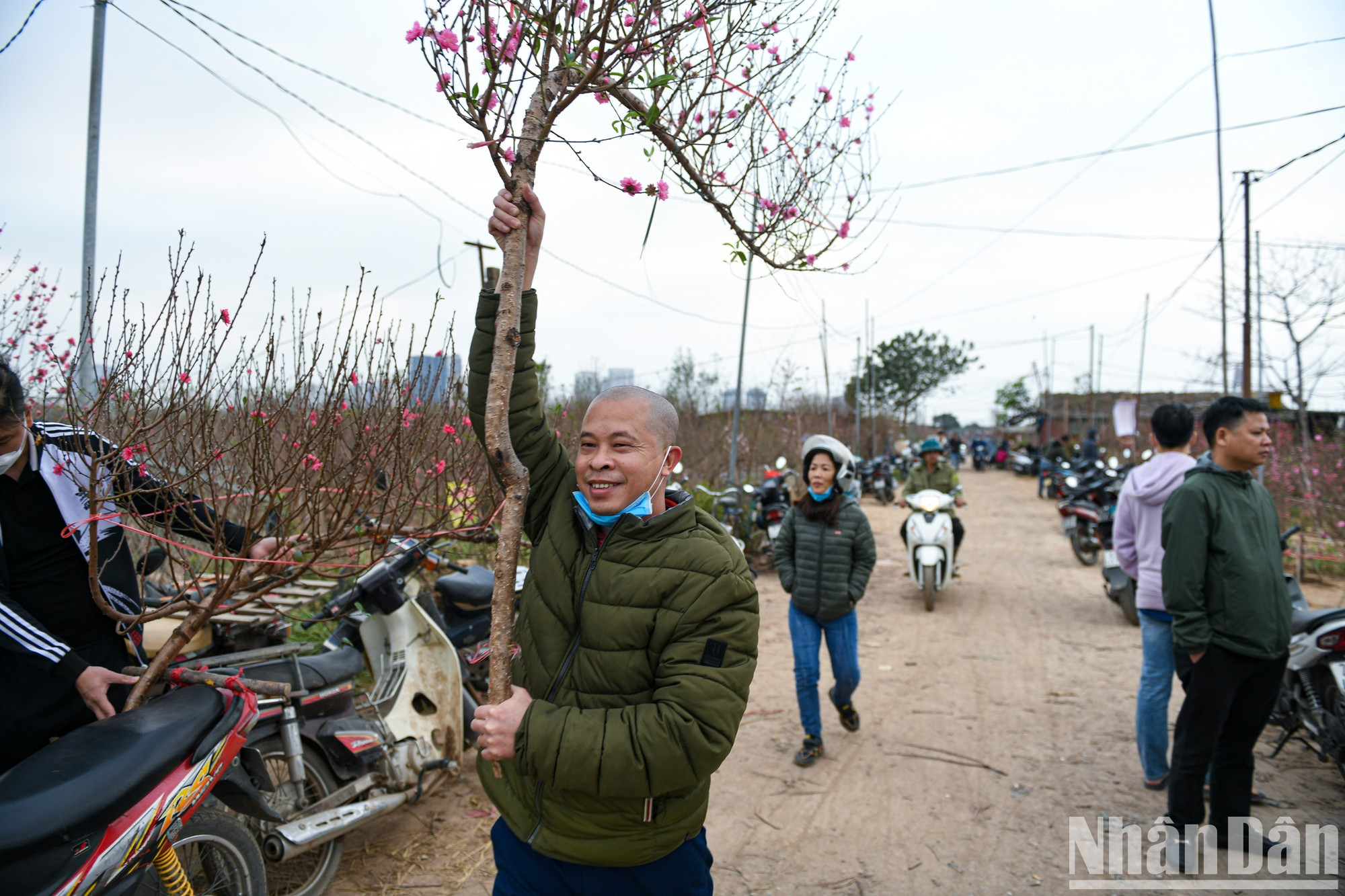 Житель не мог скрыть своей радости, выбрав подходящую себе ветку персика. Житель не мог скрыть своей радости, выбрав подходящую себе ветку персика.