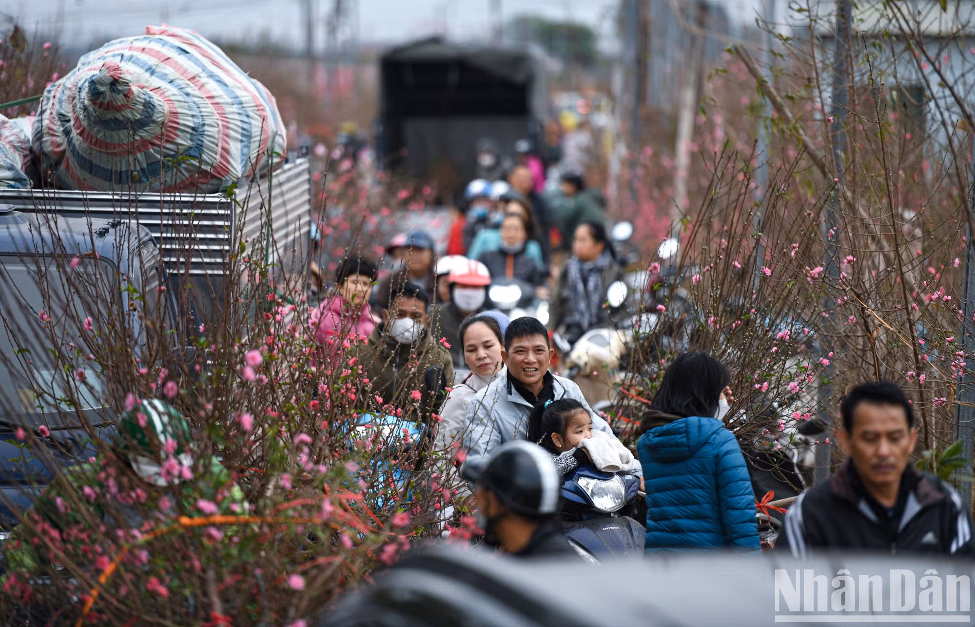 Толпы людей покупают персики в конце года.