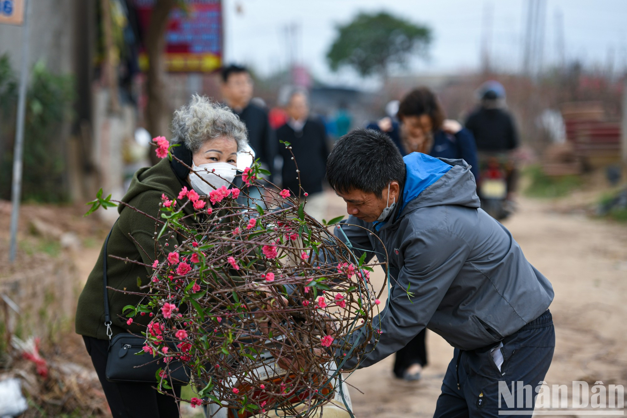 Люди стекаются в «столицу» персиков для покупки деревца или ветки, а также для весенней прогулки. Люди стекаются в «столицу» персиков для покупки деревца или ветки, а также для весенней прогулки.