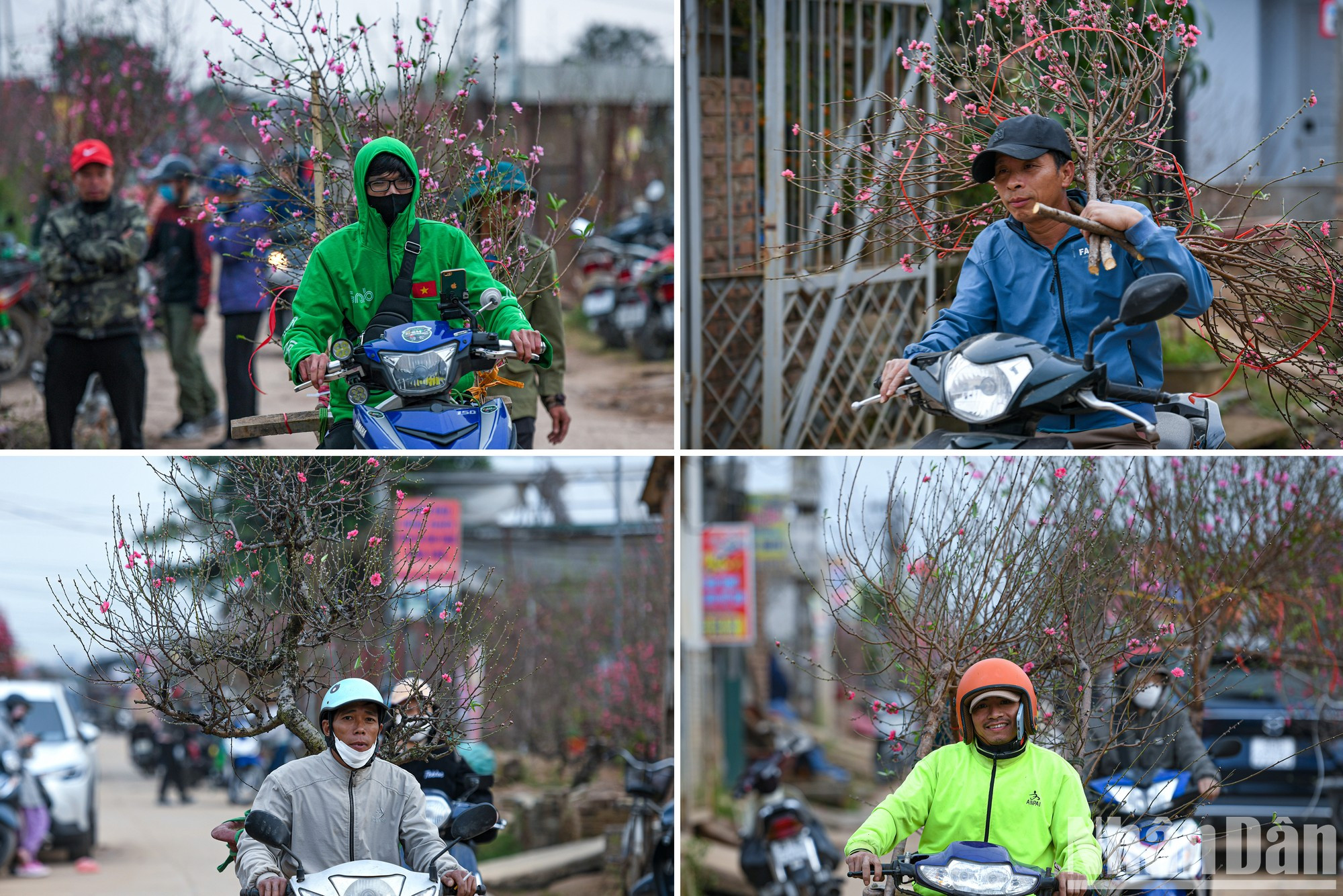 Люди суетятся, покупая персики. Люди суетятся, покупая персики.