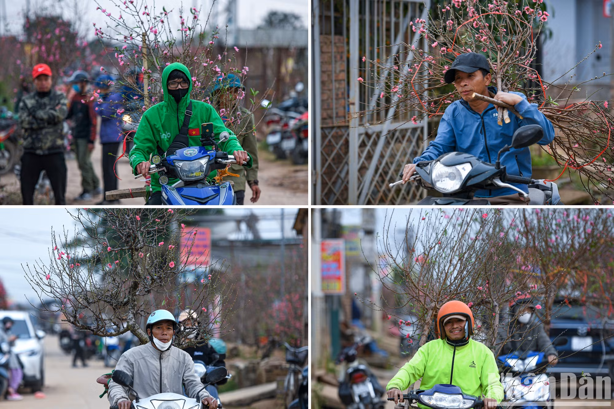 Люди суетятся, покупая персики.