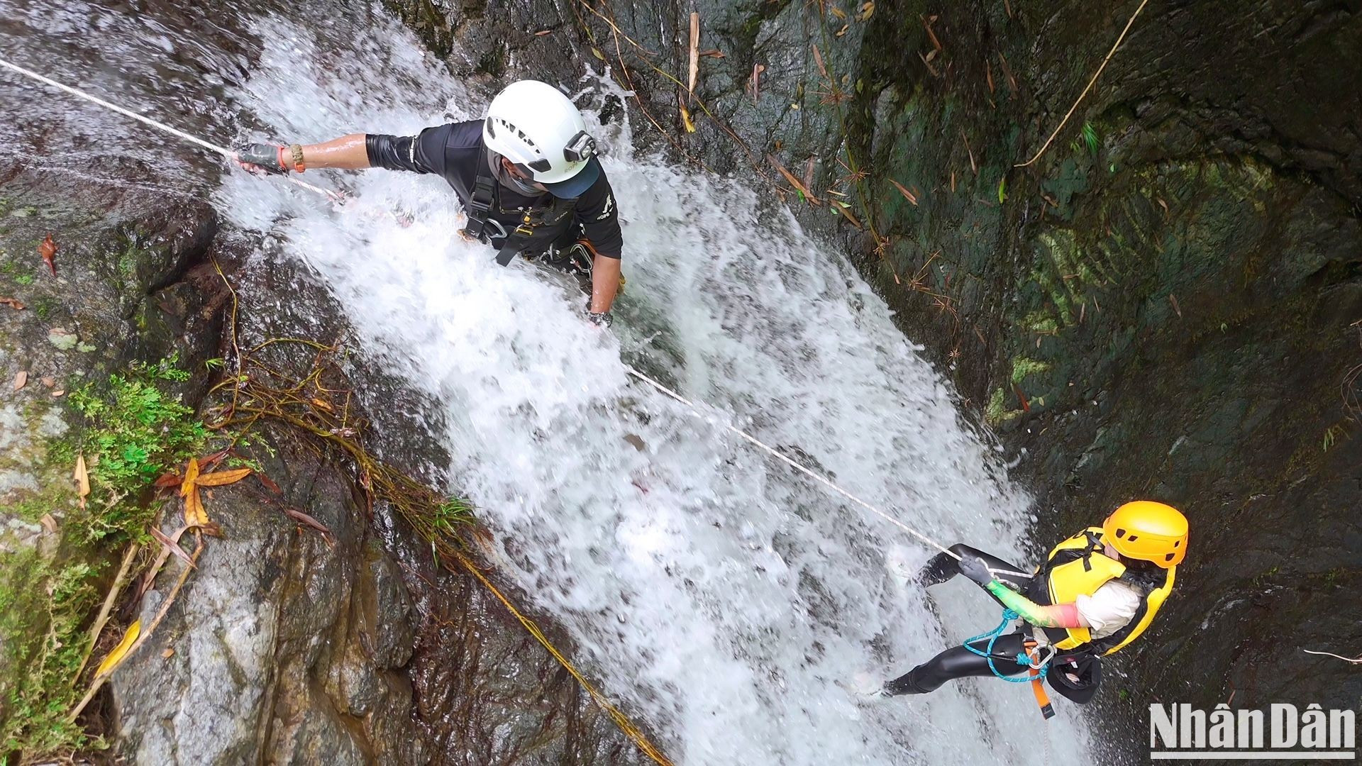 После 1-го водопада они переходят на 2-й водопад (главный водопад), который более сложный, имеет высоту 15 метров и множество холмистых скалистых порогов. Эксперт Чан Суан Тхань всегда находится на вершине водопада, поощряя и воодушевляя туристов, чтобы они уверенно преодолели вызовы. После 1-го водопада они переходят на 2-й водопад (главный водопад), который более сложный, имеет высоту 15 метров и множество холмистых скалистых порогов. Эксперт Чан Суан Тхань всегда находится на вершине водопада, поощряя и воодушевляя туристов, чтобы они уверенно преодолели вызовы.