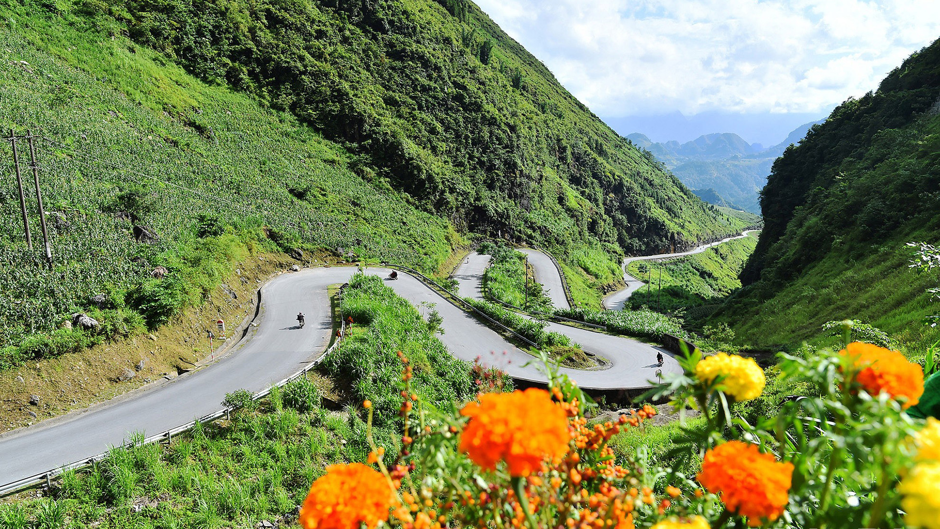 В Хажанге есть множество перевалов, крутых и опасных склонов. Тем не менее, склон Тхамма, расположенный на шоссе 4C, соединяющем городок Йенминь и общину Фокао, имеет уникальную особенность, очаровывающую всех туристов. В Хажанге есть множество перевалов, крутых и опасных склонов. Тем не менее, склон Тхамма, расположенный на шоссе 4C, соединяющем городок Йенминь и общину Фокао, имеет уникальную особенность, очаровывающую всех туристов.