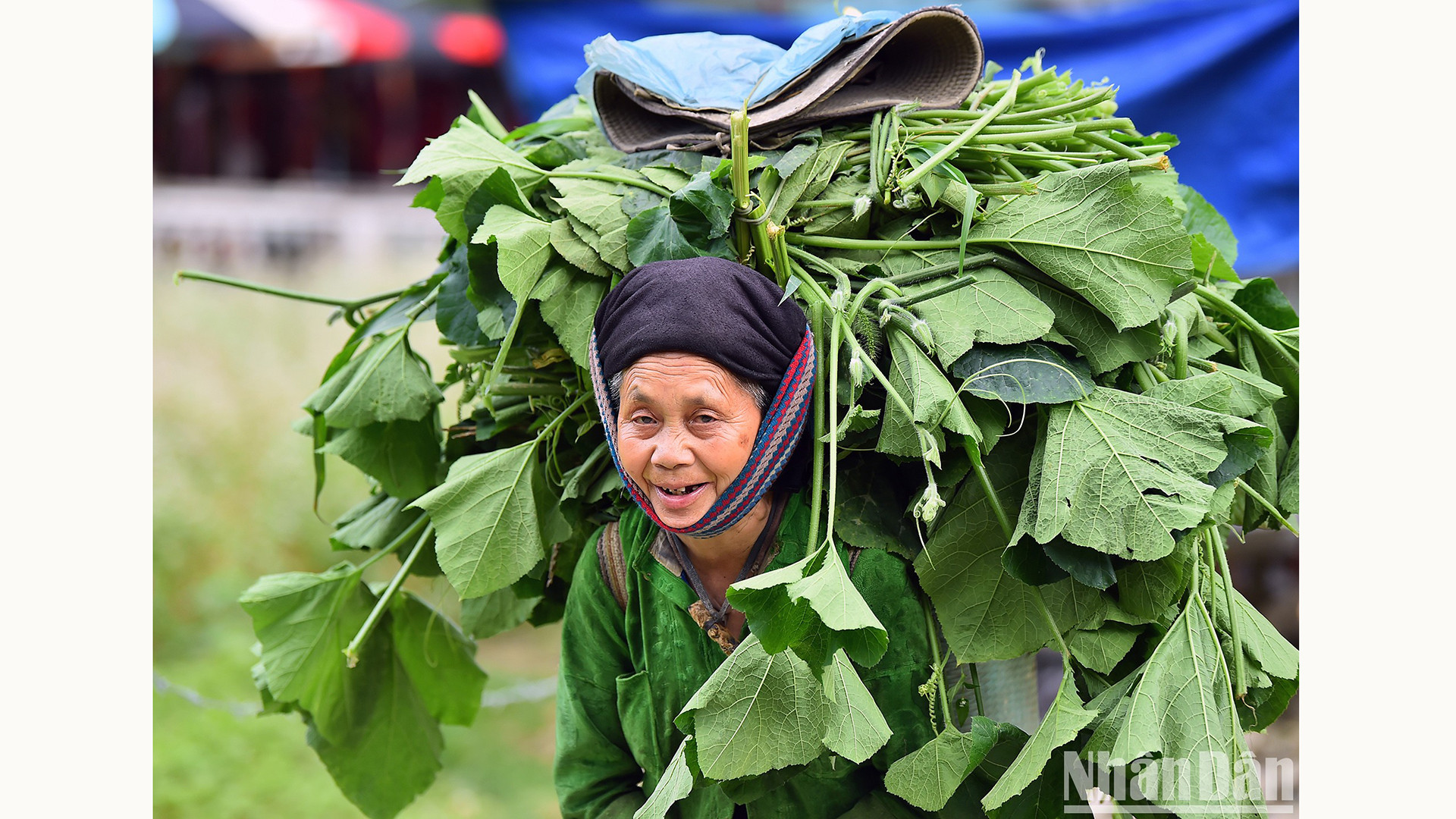 Бабушка Хмонг после рабочего дня в культурной деревне Лунгкам. Ее непринужденная улыбка заставляет людей забыть обо всех жизненных неурядицах. Бабушка Хмонг после рабочего дня в культурной деревне Лунгкам. Ее непринужденная улыбка заставляет людей забыть обо всех жизненных неурядицах.