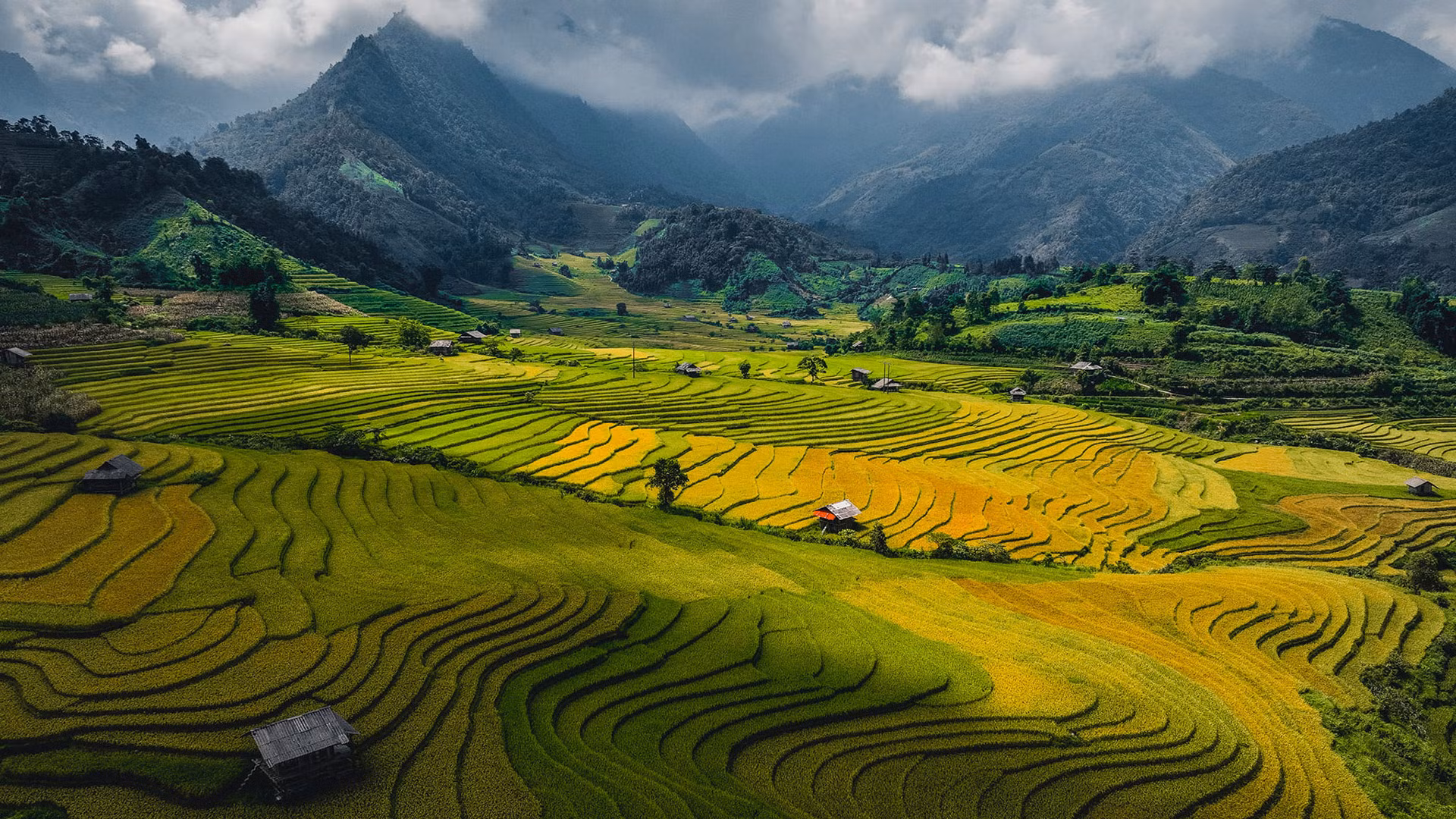 В сезон спелого риса многие туристы приезжают в селения в городке Шапа. Мало кто знает, что в Намканге, крайнем селении на юго-востоке городка Шапа, посреди долины также расположены террасные рисовые поля, окруженные горами, лесами, облаками и небом. Сезон спелого риса в Намканге обычно начинается в августе и длится примерно до начала сентября каждого года.