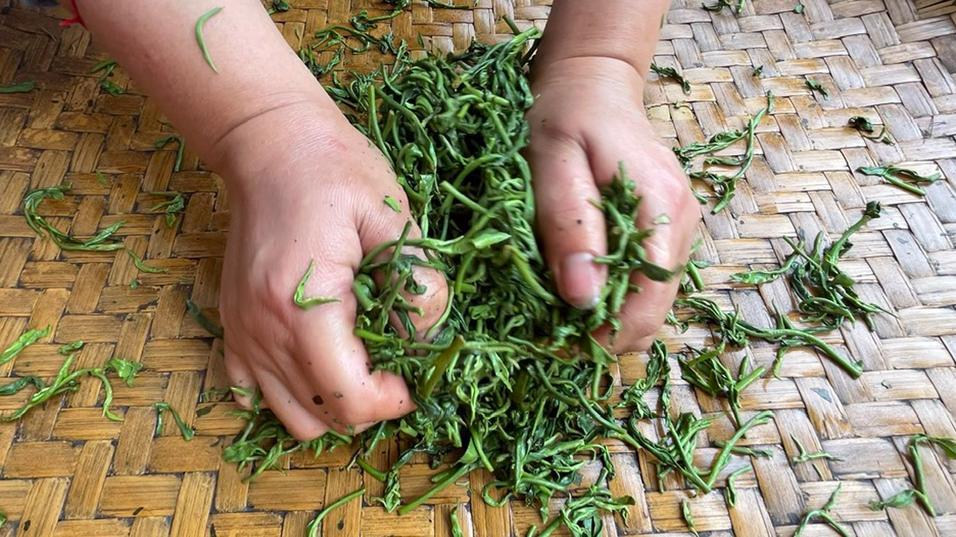 Этот процесс также требует опыта и техники. Этот процесс также требует опыта и техники.