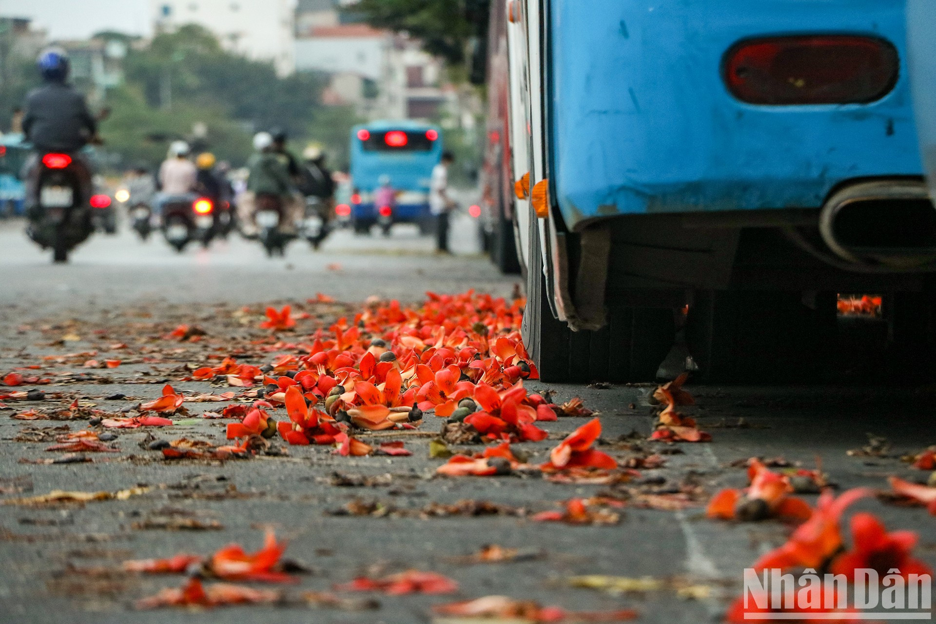 Цветы, падающие на улицу, создают романтическое пространство столицы. Цветы, падающие на улицу, создают романтическое пространство столицы.