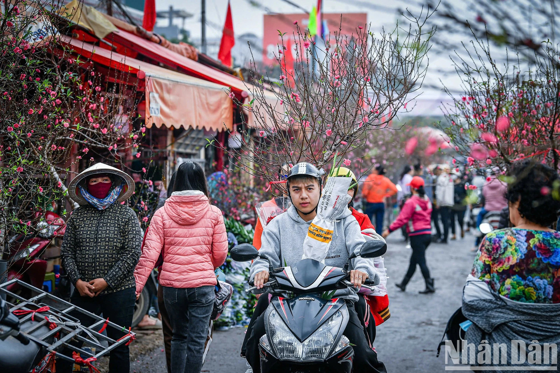 Приносят весну домой... Приносят весну домой...