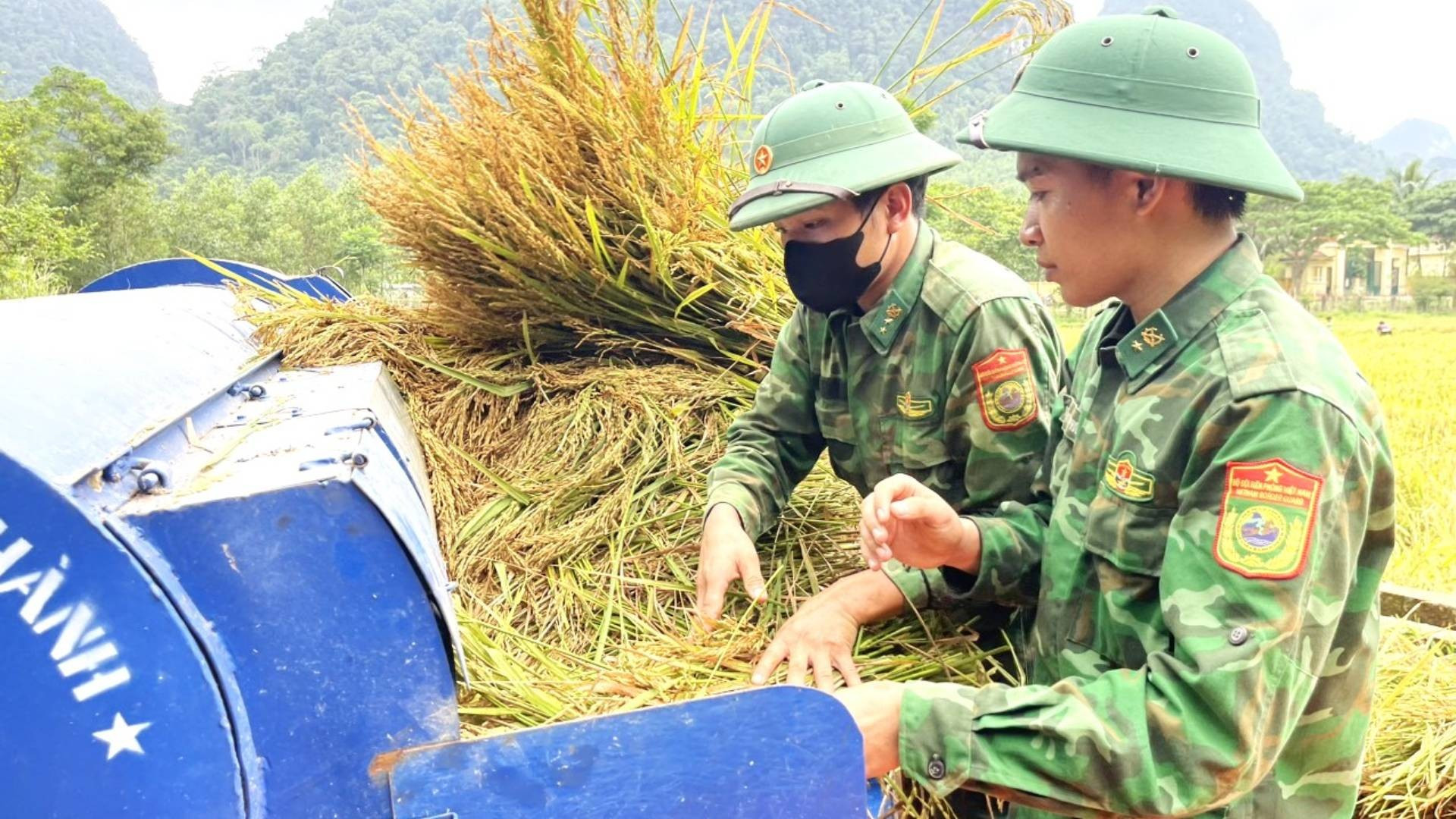 Кадровые работники, военнослужащие пограничного поста Касенг выдвинули машины на поле, чтобы помочь людям обмолачивать рис. Кадровые работники, военнослужащие пограничного поста Касенг выдвинули машины на поле, чтобы помочь людям обмолачивать рис.