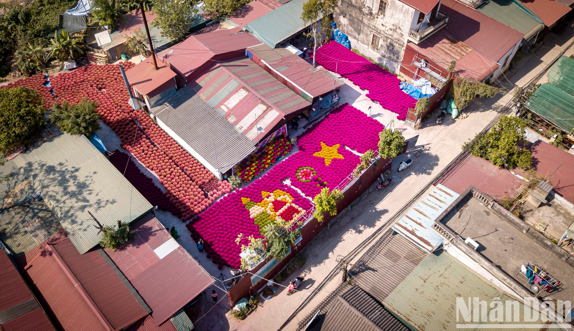 Местные жители используют домашний двор, двор общинного дома, свободные участки, чтобы сушить благовония, создавая впечатляющую сцену.