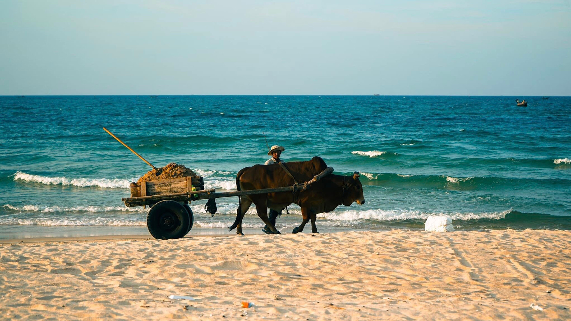 Примерно 300 м от пляжа находится жилой район. Туристы могут заставать моменты, когда жители ведут буйволов и коров домой. Примерно 300 м от пляжа находится жилой район. Туристы могут заставать моменты, когда жители ведут буйволов и коров домой.