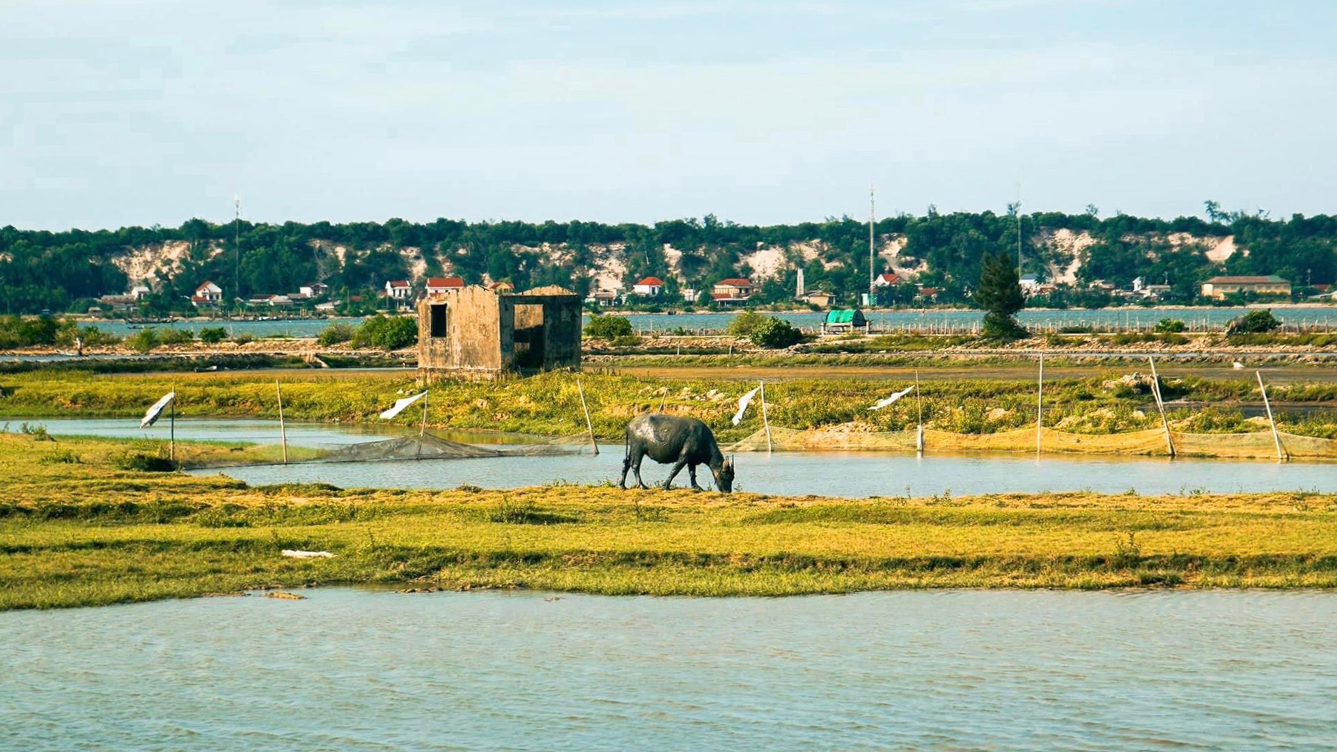 Хотя здесь нет официальных туристических и развлекательных услуг для туристов, Тантхань по-прежнему остается местом для тех, кто любит тишину, хочет расслабиться и отдохнуть. Хотя здесь нет официальных туристических и развлекательных услуг для туристов, Тантхань по-прежнему остается местом для тех, кто любит тишину, хочет расслабиться и отдохнуть.