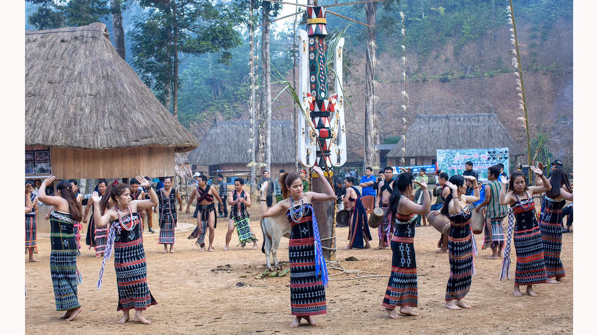 Народность Коту