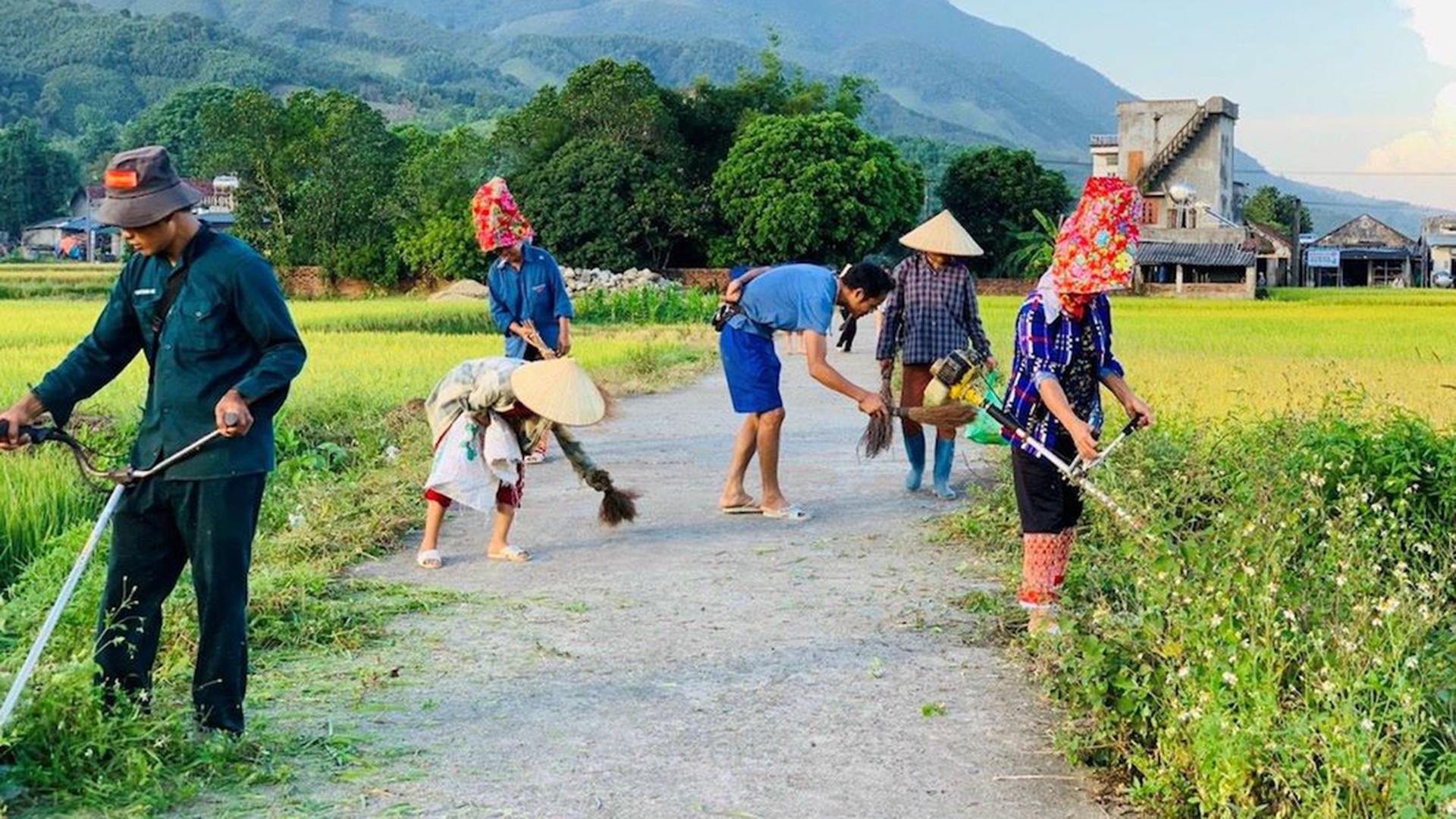 Движение по реализации «Зеленого воскресенья» распространяется на общины, кварталы, от сельских, горных районов до городов. Движение по реализации «Зеленого воскресенья» распространяется на общины, кварталы, от сельских, горных районов до городов.