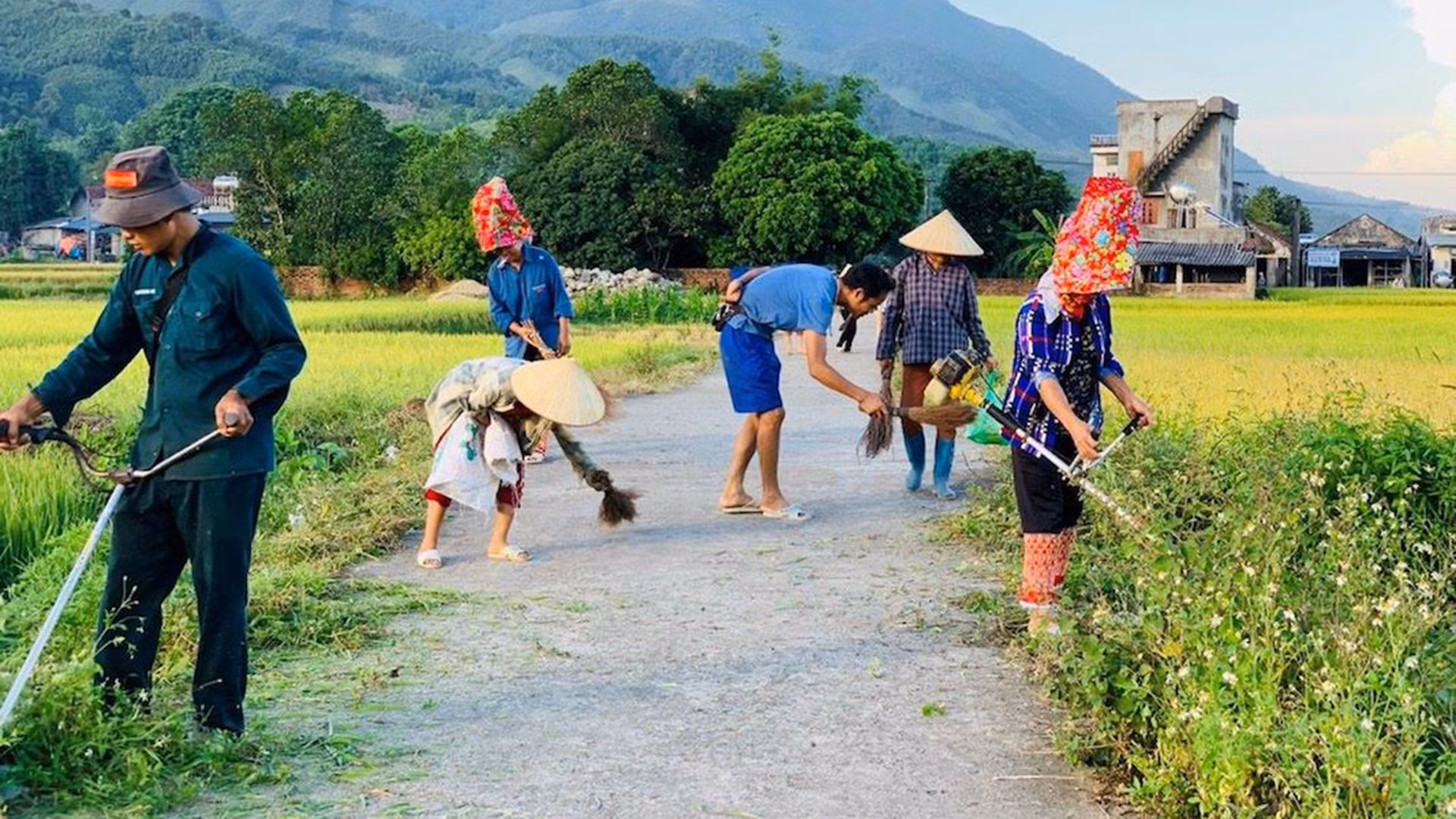 Движение по реализации «Зеленого воскресенья» распространяется на общины, кварталы, от сельских, горных районов до городов.