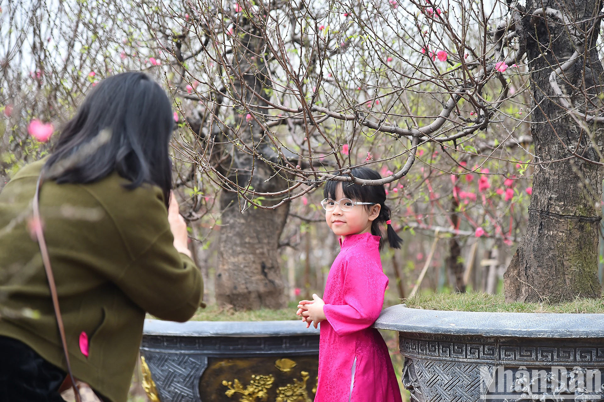 Дети фотографируются рядом с персиковыми деревьями, чтобы сохранить прекрасные моменты наступающего Нового года по лунному календарю.
