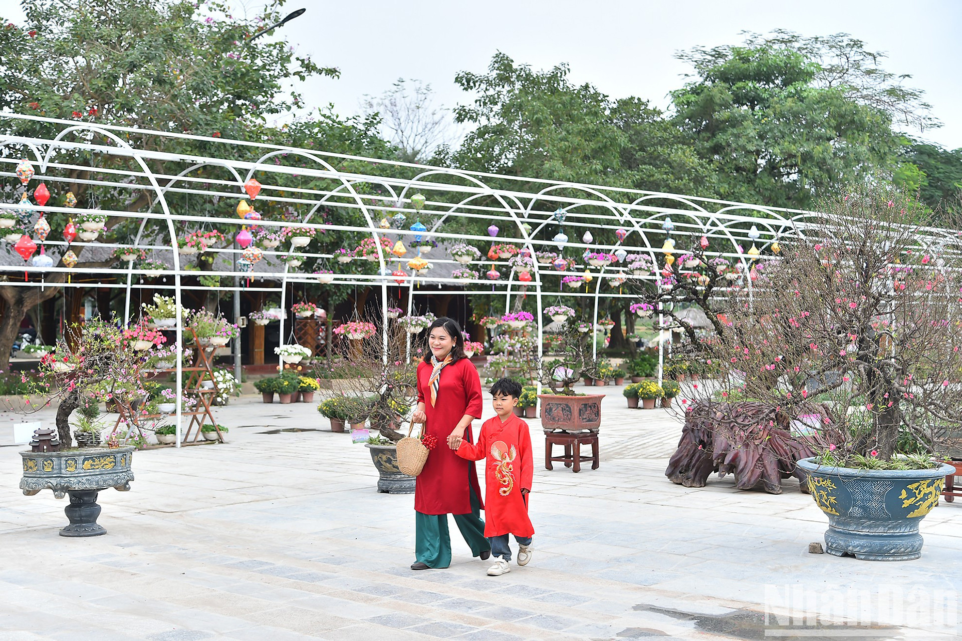 Коллективы и отдельные лица будут награждены на Фестивале декоративных персиковых деревьев, кумкватов и продукции OCOP в честь Весны Жап Тхин 2024 года, который пройдет с 26 января по 1 февраля в творческом культурном пространстве Тэйхо (квартал Няттан, район Тэйхо).