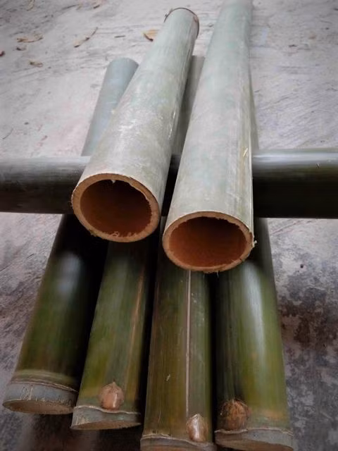 «Вингвут» – музыкальный инструмент для женщин Хрэ. Фото: Газета «Народности и развитие»