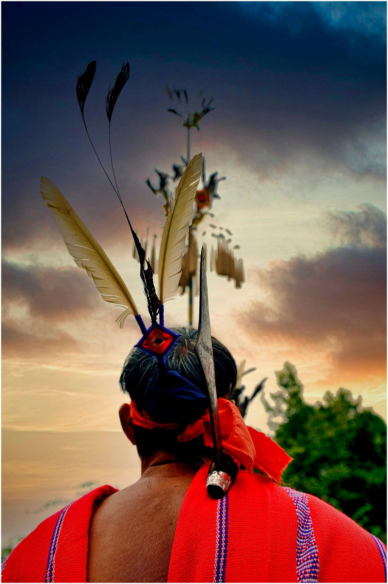 Фото: Тхань Дат Фото: Тхань Дат