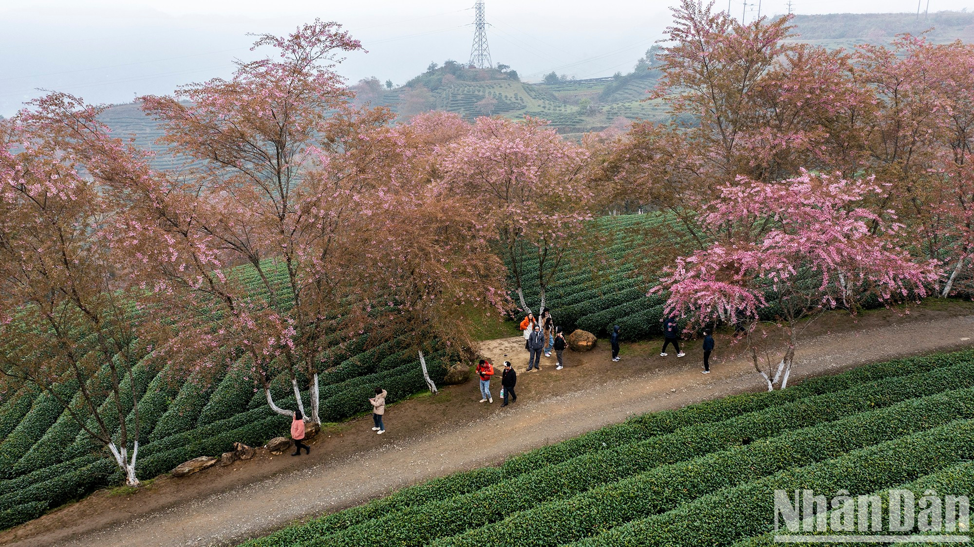 Приезжая сюда, туристы могут насладиться свежим воздухом. Приезжая сюда, туристы могут насладиться свежим воздухом.