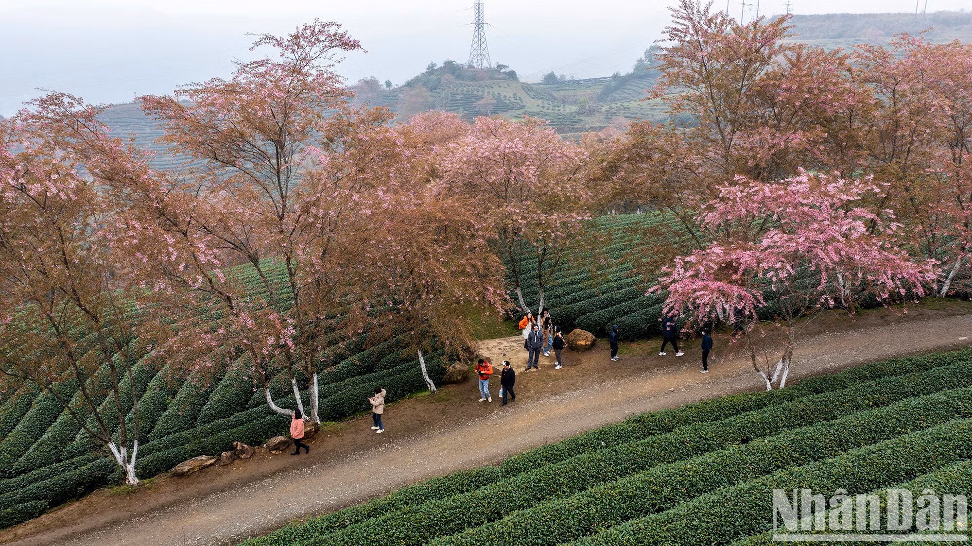 Приезжая сюда, туристы могут насладиться свежим воздухом.