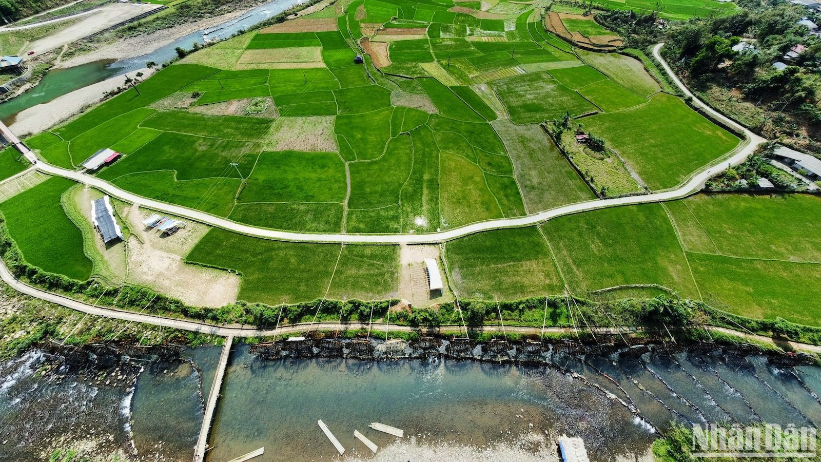 В феврале-марте селение Накхыонг окружено бескрайними, свежими зелеными рисовыми полями.
