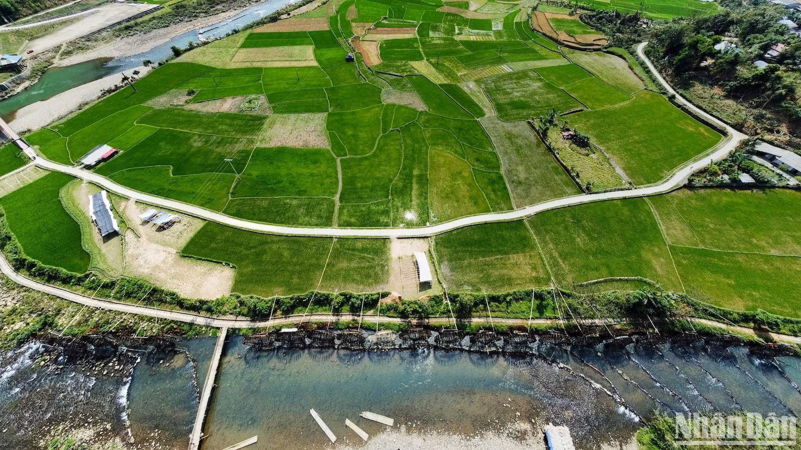 В феврале-марте селение Накхыонг окружено бескрайними, свежими зелеными рисовыми полями.