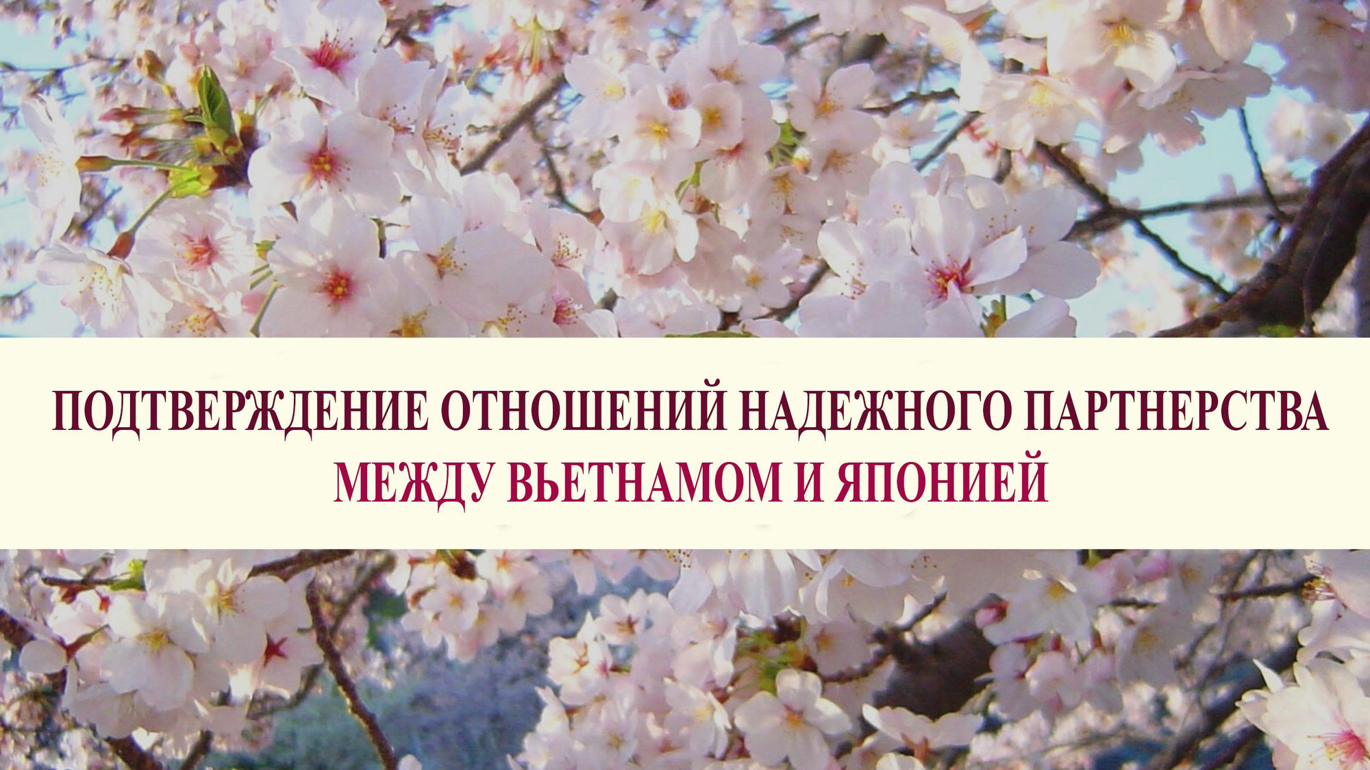 Уважение к близкому другу Вьетнама