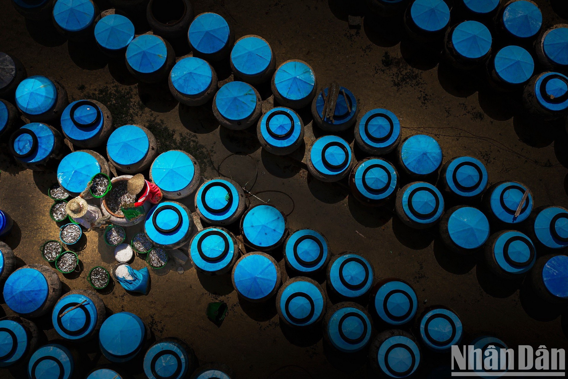 Прибрежные жители готовят рыбный соус из некоторых видов рыбы, выловленной в море.