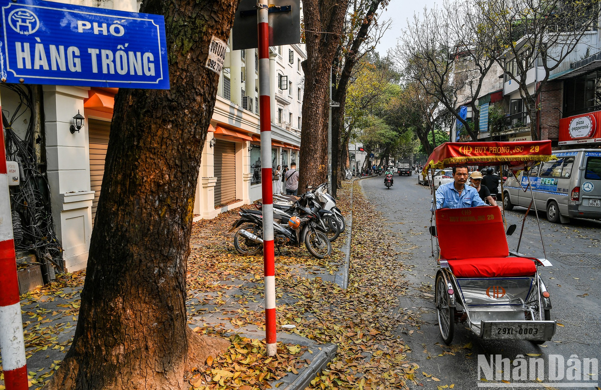 Улица Хангчонг, кажется, приобрела новый вид благодаря покрытым яркими желтыми листьями тротуарам.