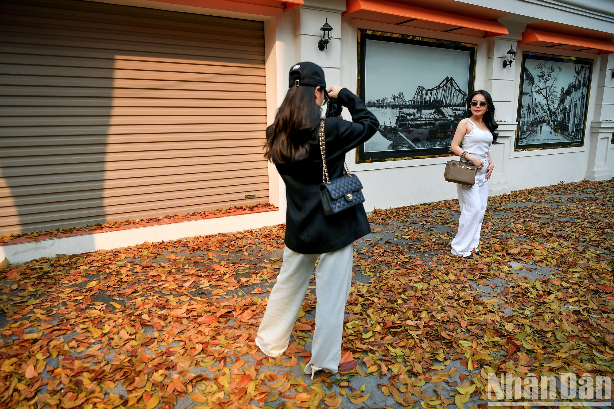 «Золотая дорога» особенно привлекает посетителей, желающих полюбоваться ей и сделать фотографии на память.
