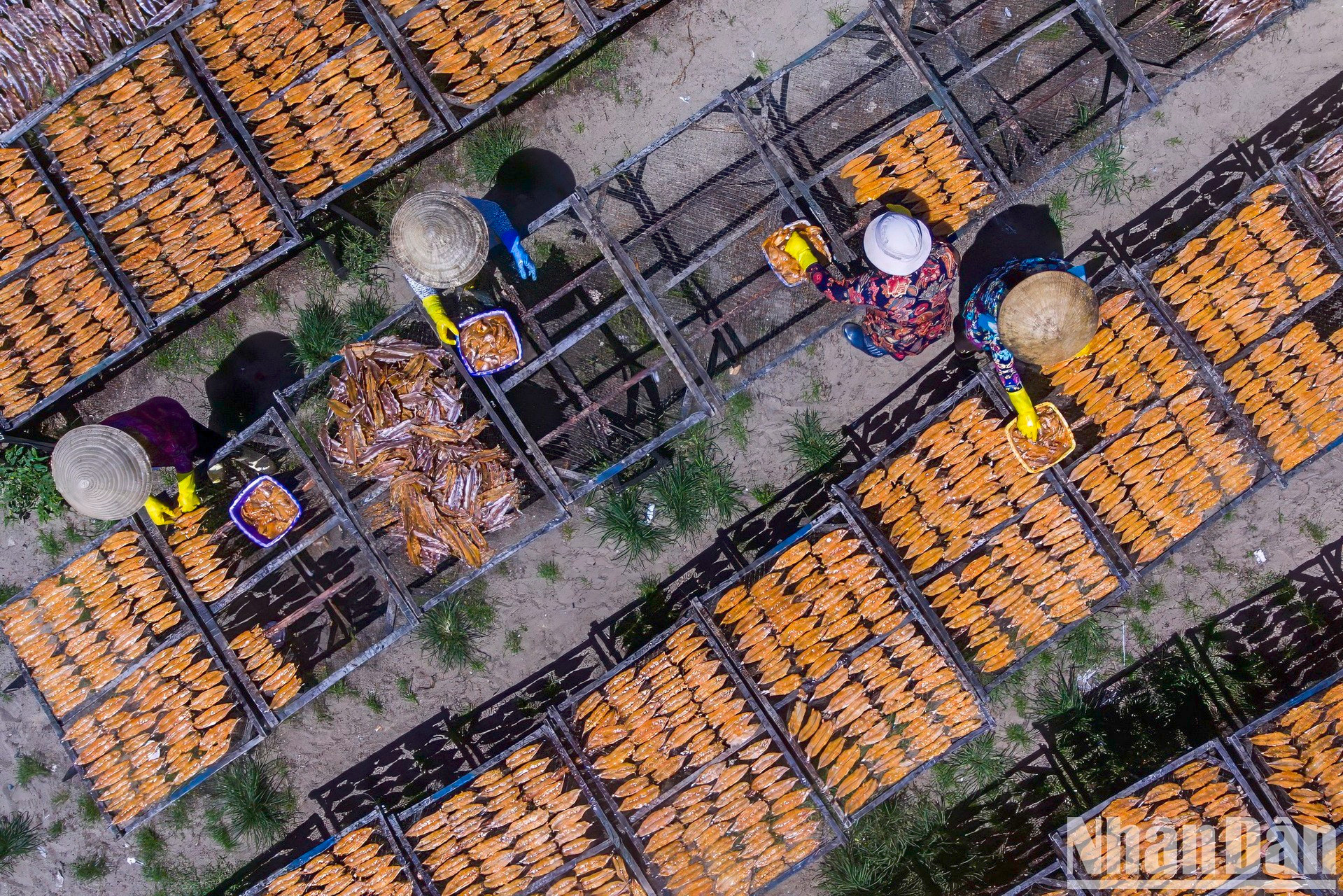 Помимо продажи морепродуктов рыбаки также обрабатывают и сушат их.