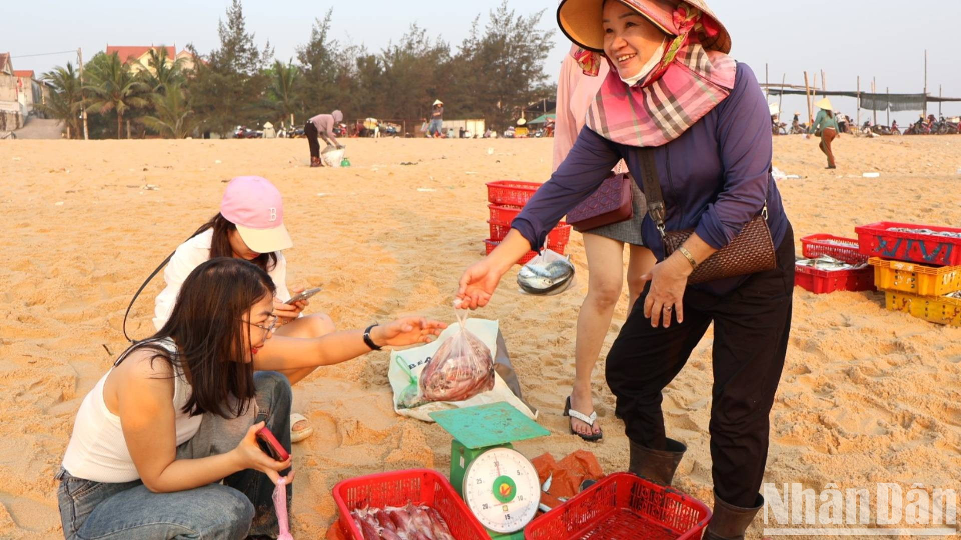 К 6 часов утра покупатели покидают рынок с пакетами свежих кальмаров, чтобы приготовить уникальное блюдо на завтрак в провинции Куангбинь – лапшу с кальмарами. К 6 часов утра покупатели покидают рынок с пакетами свежих кальмаров, чтобы приготовить уникальное блюдо на завтрак в провинции Куангбинь – лапшу с кальмарами.