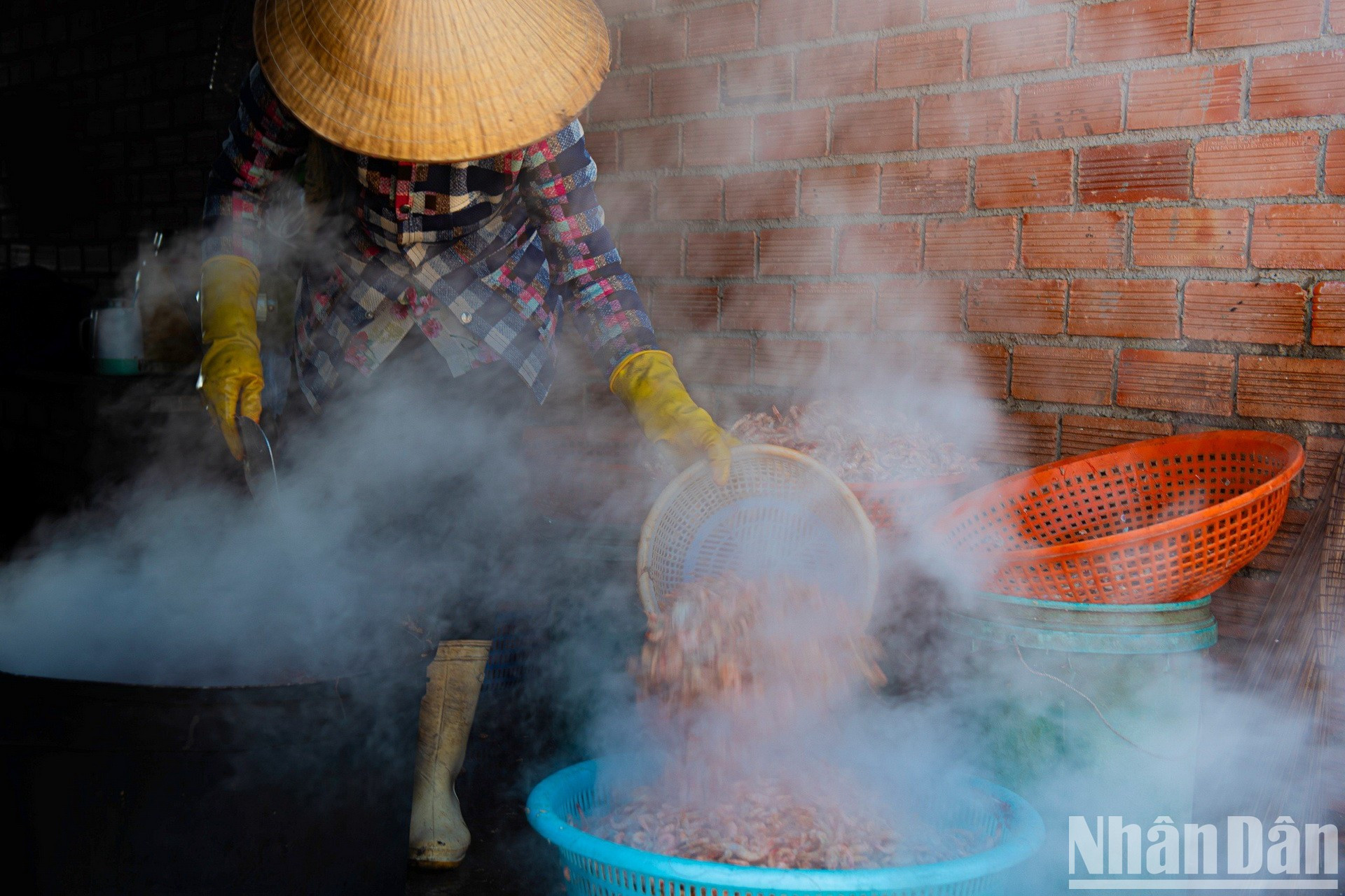 Обработка сушеных креветок.