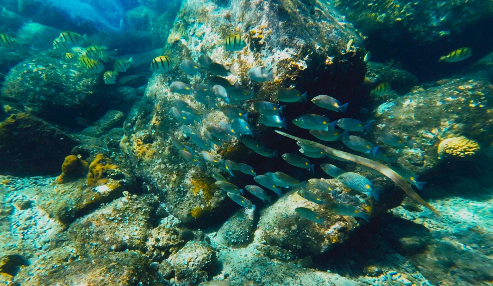 Хонтай сохраняет свою девственную красоту. Это место необитаемо, здесь нет электричества, телефонной связи или Wi-Fi. Хонтай сохраняет свою девственную красоту. Это место необитаемо, здесь нет электричества, телефонной связи или Wi-Fi.