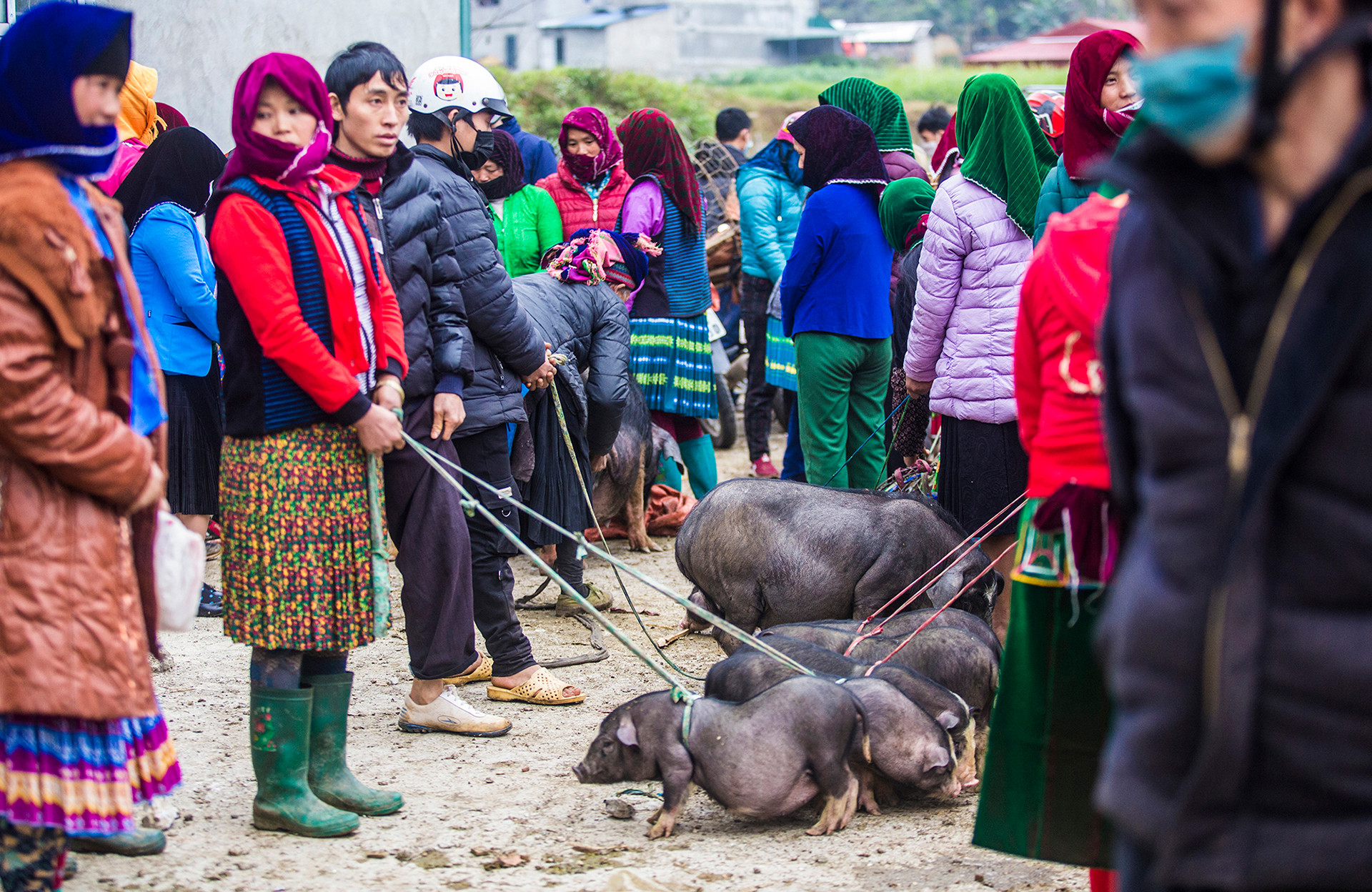 На каменном плоскогорье Донгван проживает около 250 тыс. человек из 17 народностей этнического меньшинства.