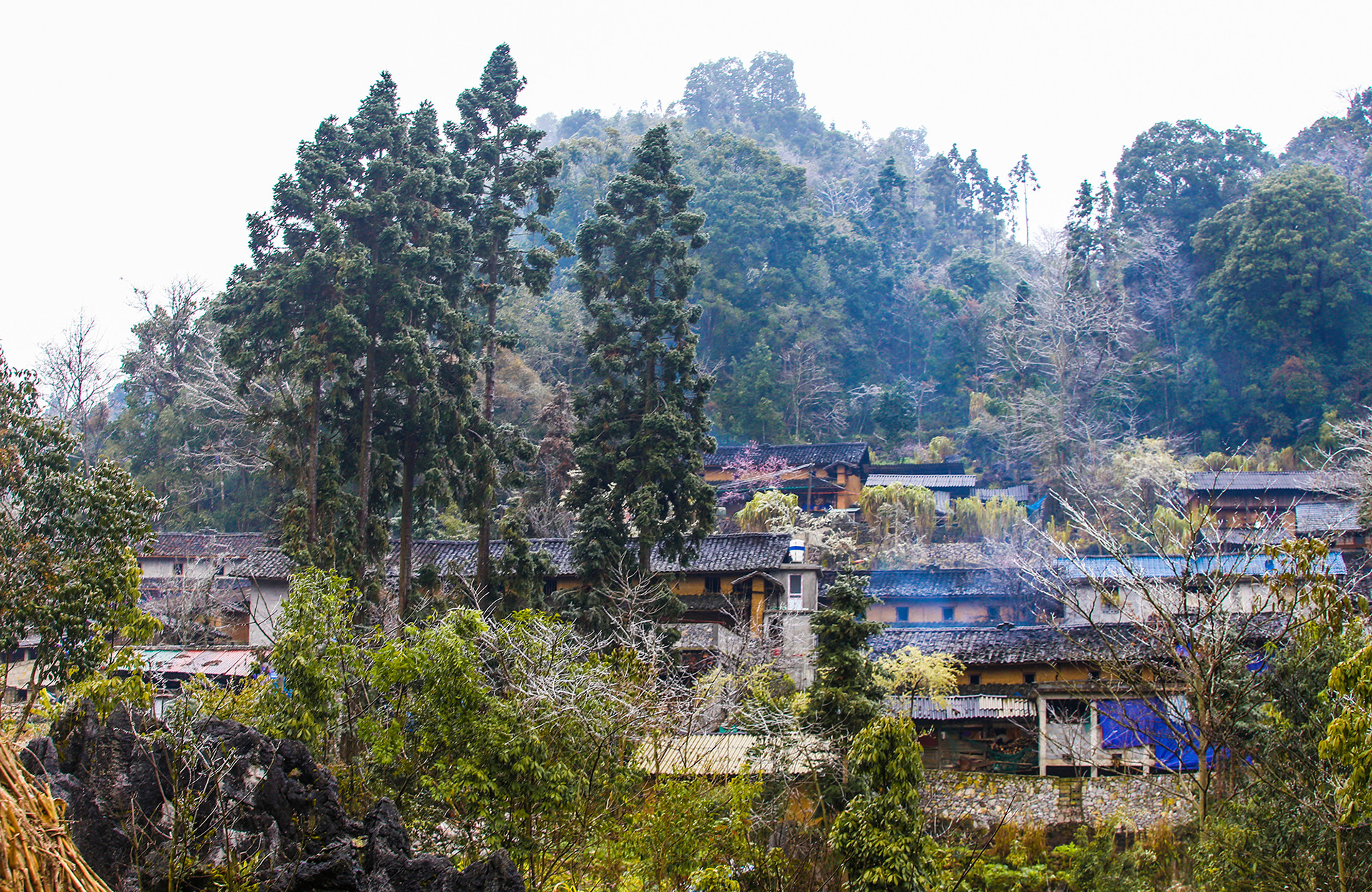 На фото уголок деревни Лаоса общины Шунгла уезда Донгван. Температура опускается до -2°C.