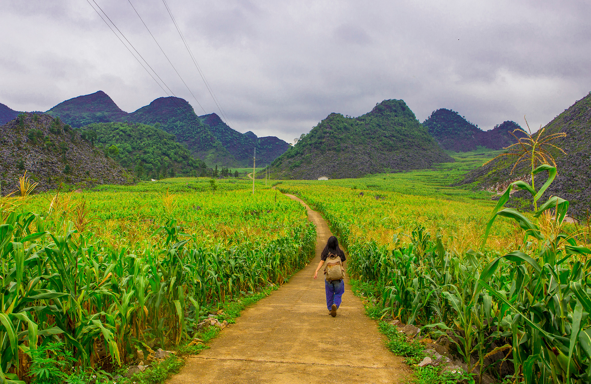Летом сезон кукурузы. Привычный серый цвет каменистого плоскогорья сменяется зеленым. В мае и июне представители народности Хмонг в провинции Хажанг собирают лен в качестве сырья для ткачества.