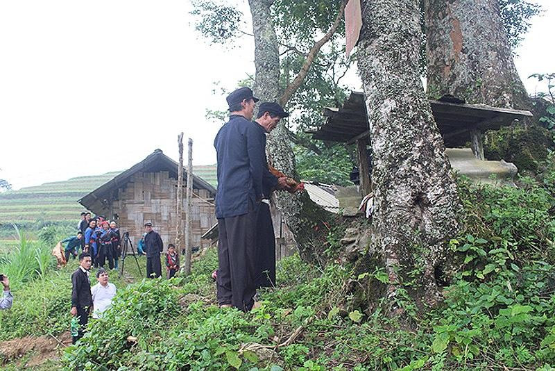 Один из ритуалов народности Колао. Один из ритуалов народности Колао.