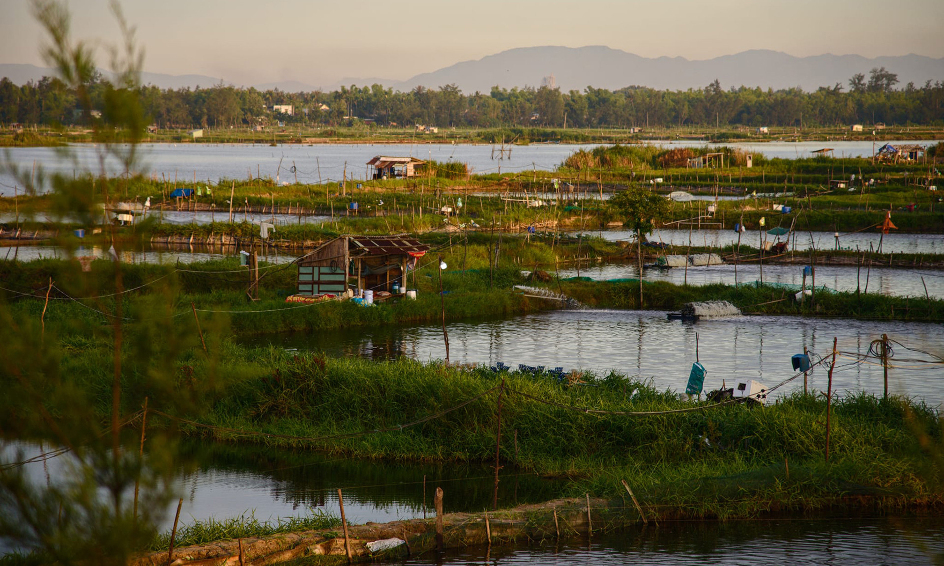 Креветочная ферма расположена на реке Чыонгжанг, которая протекает вдоль побережья. Ранним утром под первыми солнечными лучами ферма становится более поэтичной. Креветочная ферма расположена на реке Чыонгжанг, которая протекает вдоль побережья. Ранним утром под первыми солнечными лучами ферма становится более поэтичной.