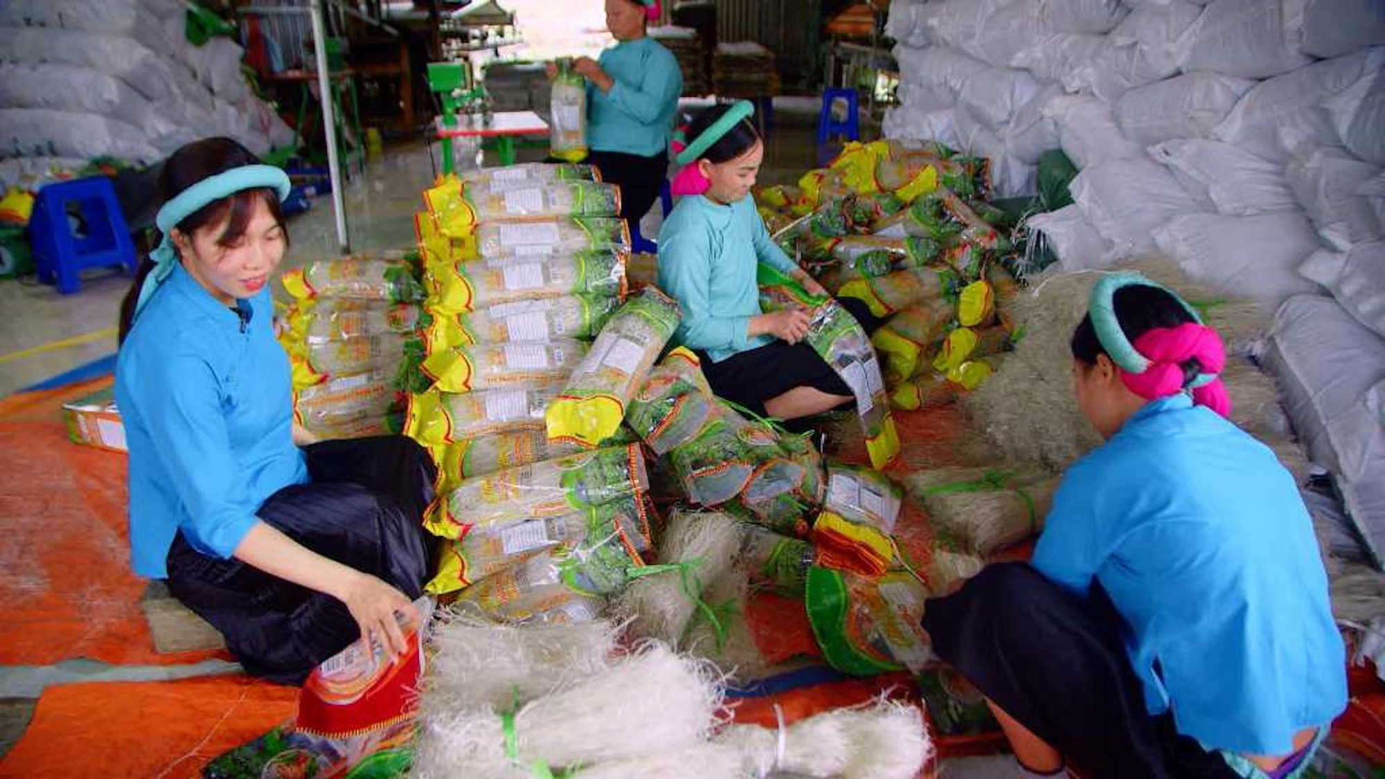 Стеклянная лапша Биньлиеу экспортуруется на международные рынки. Стеклянная лапша Биньлиеу экспортуруется на международные рынки.