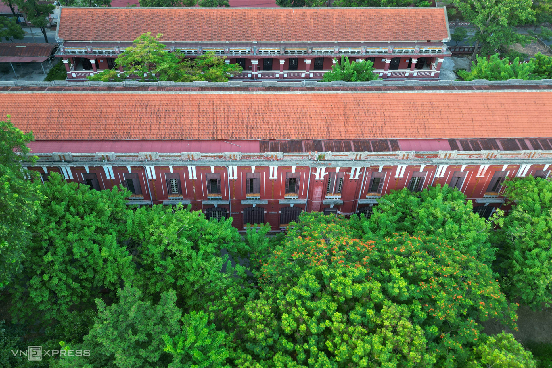 Школа окружена вековыми деревьями.