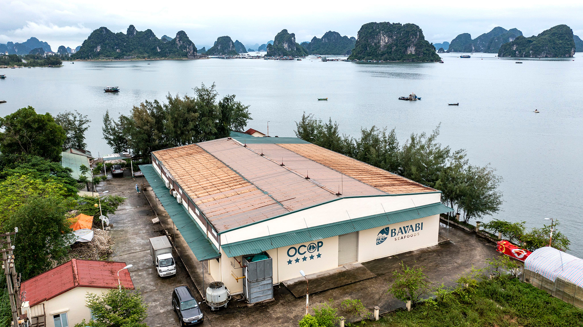 В долгосрочной перспективе «Баваби» желает представить миру устричные продукты, в частности, и морепродукты уезда Вандон, в целом. В долгосрочной перспективе «Баваби» желает представить миру устричные продукты, в частности, и морепродукты уезда Вандон, в целом.