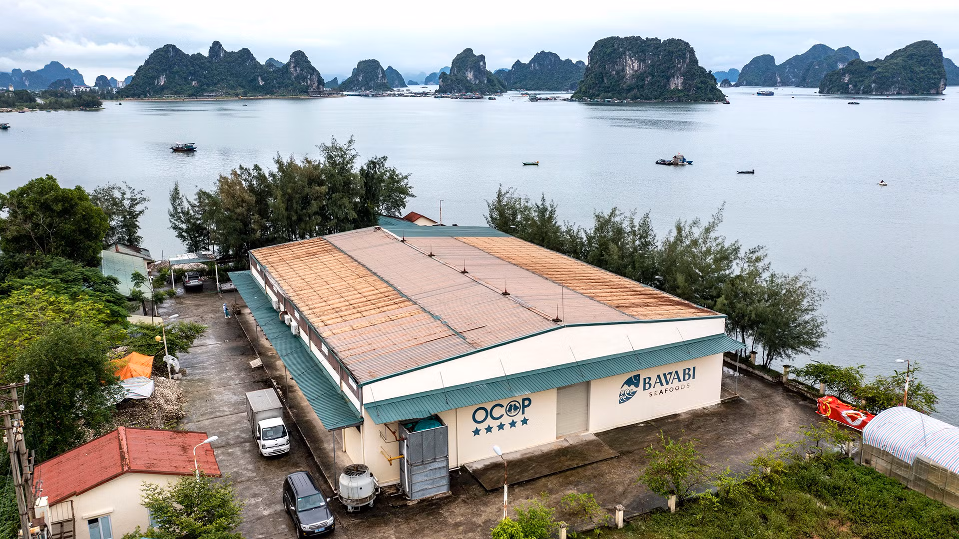 В долгосрочной перспективе «Баваби» желает представить миру устричные продукты, в частности, и морепродукты уезда Вандон, в целом.