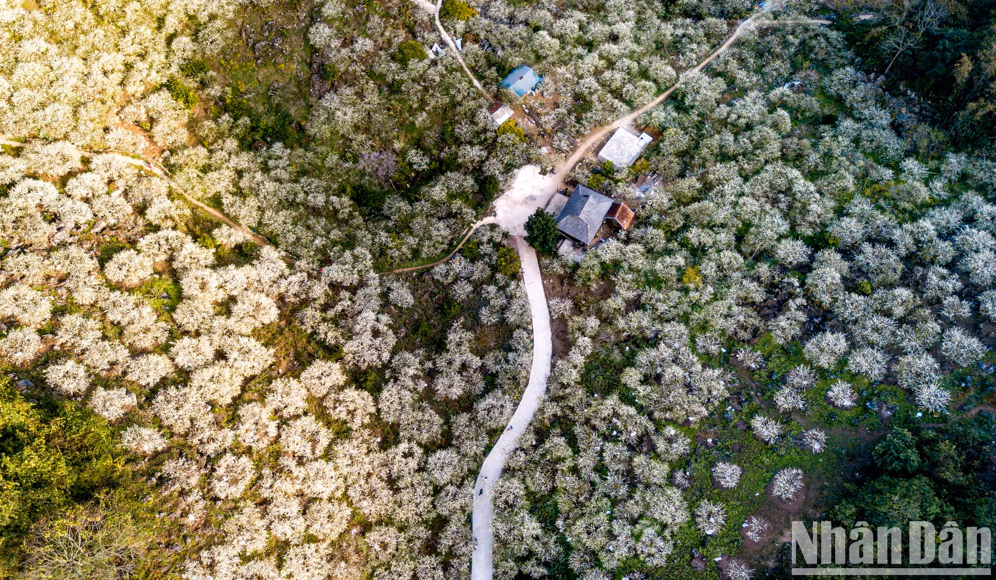 Сливовая долина Мунау очаровательно красива сверху.