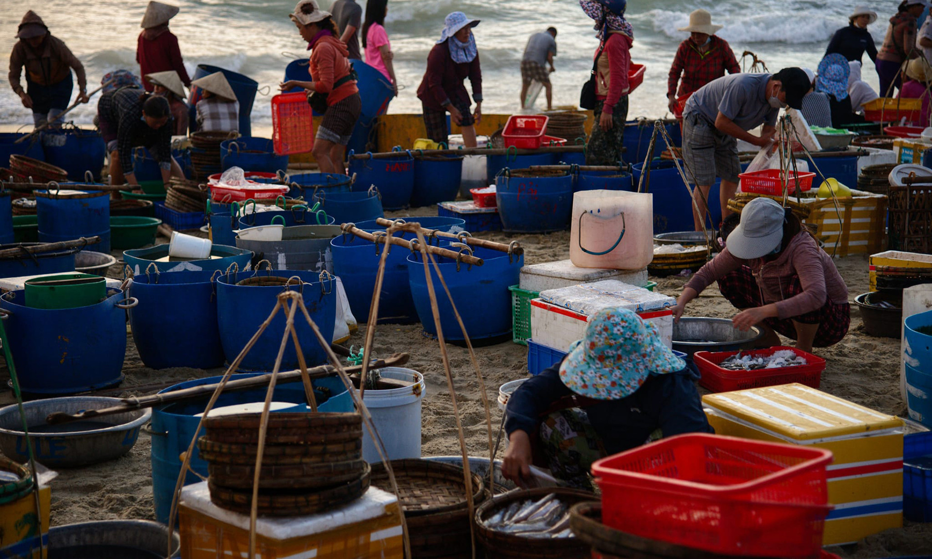 На берегу женщины сортируют рыбу по качеству. Отсортированная рыба замораживается для доставки на рынки, в рестораны и т.д. На берегу женщины сортируют рыбу по качеству. Отсортированная рыба замораживается для доставки на рынки, в рестораны и т.д.